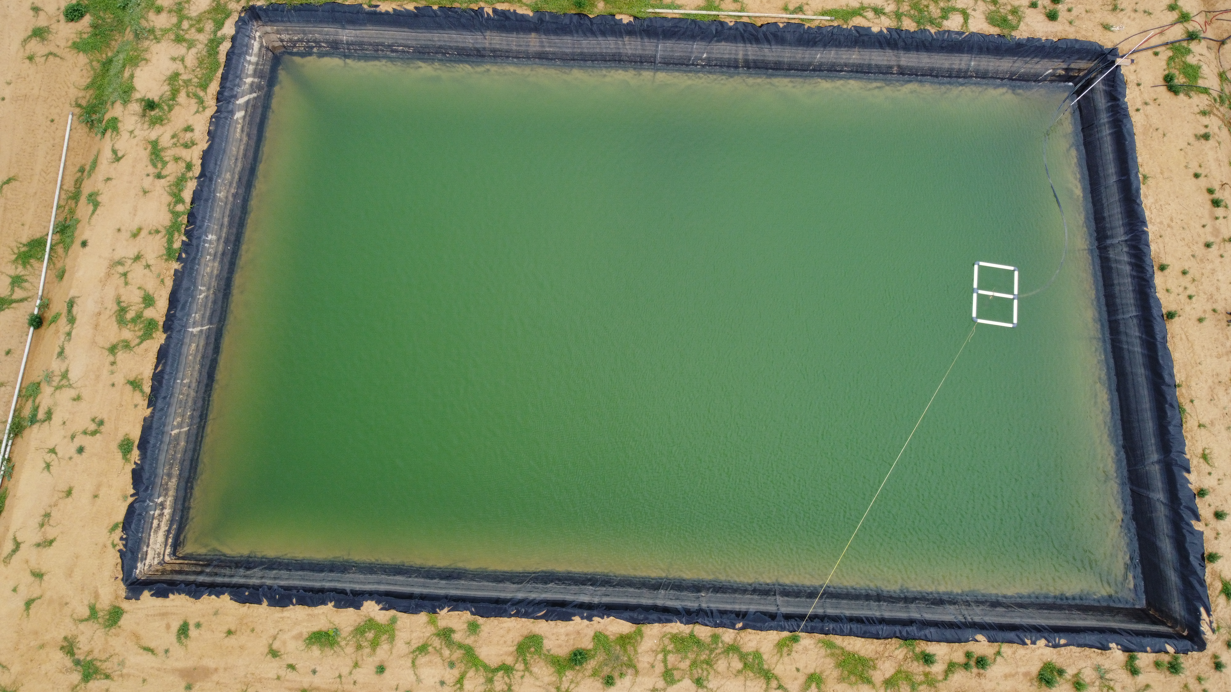 Bassin tampon d'irrigation 3100 M3  DPT80