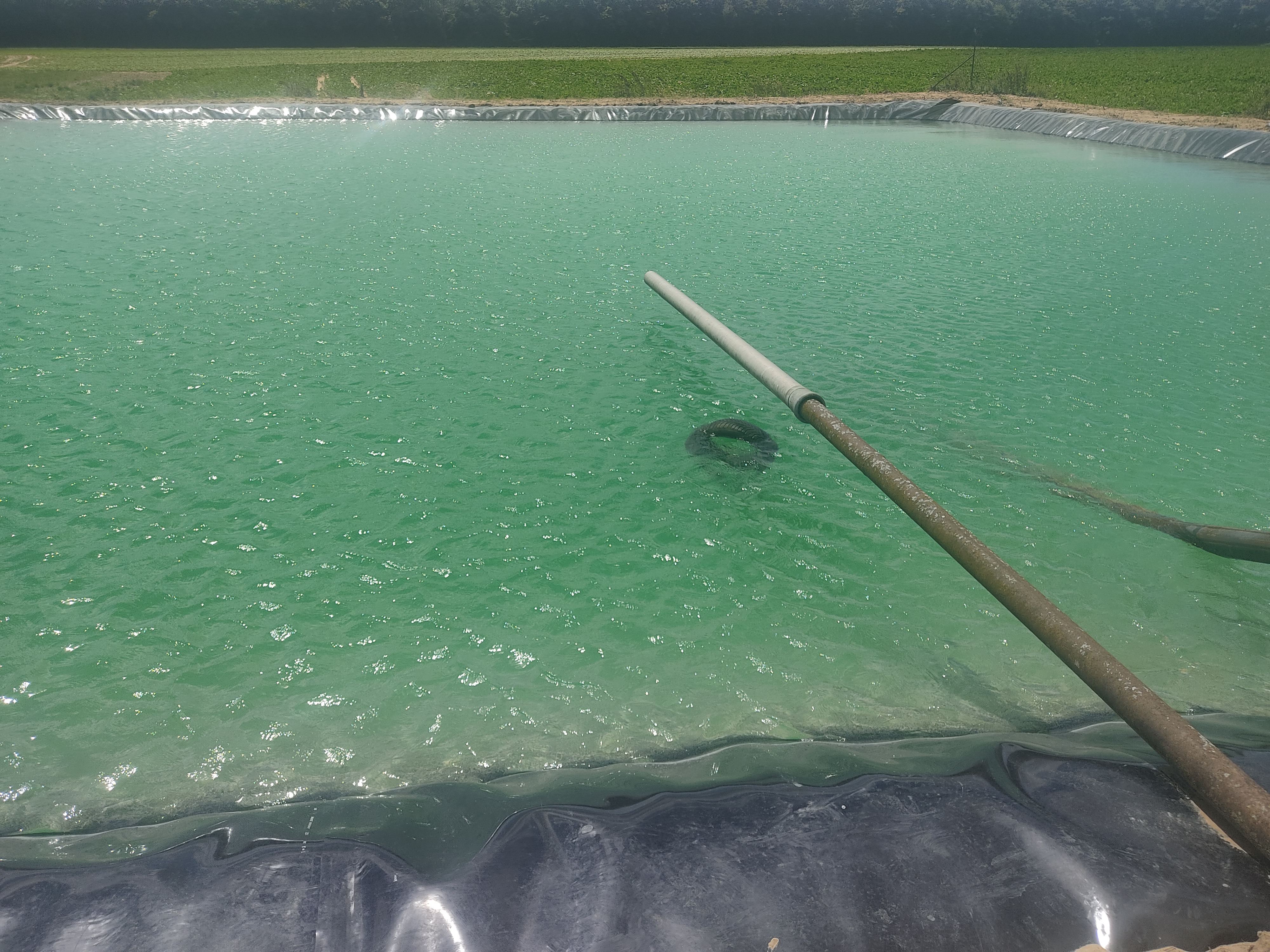BASSIN TAMPON D'IRRIGATION  DPT80