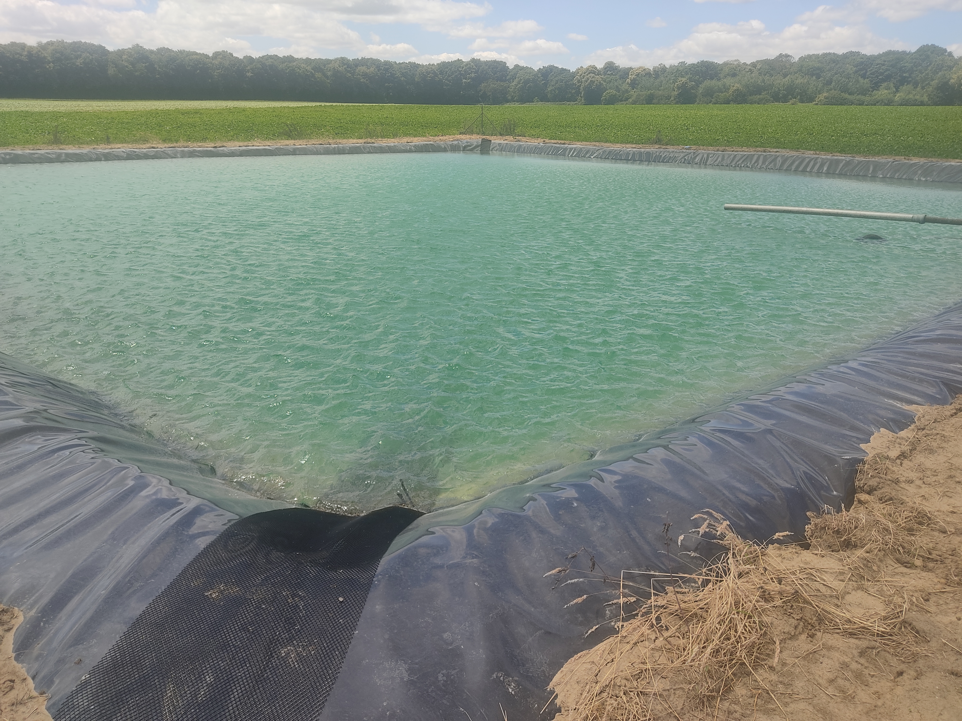BASSIN TAMPON D'IRRIGATION  DPT80